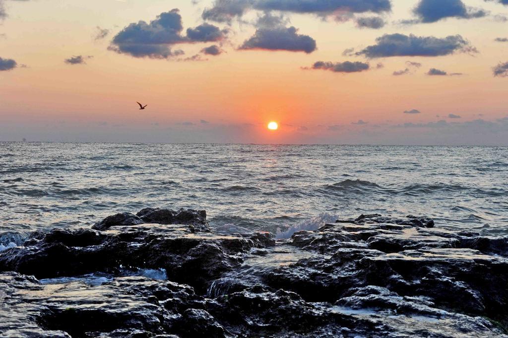 Belle Sea View Apartment ママイア 部屋 写真